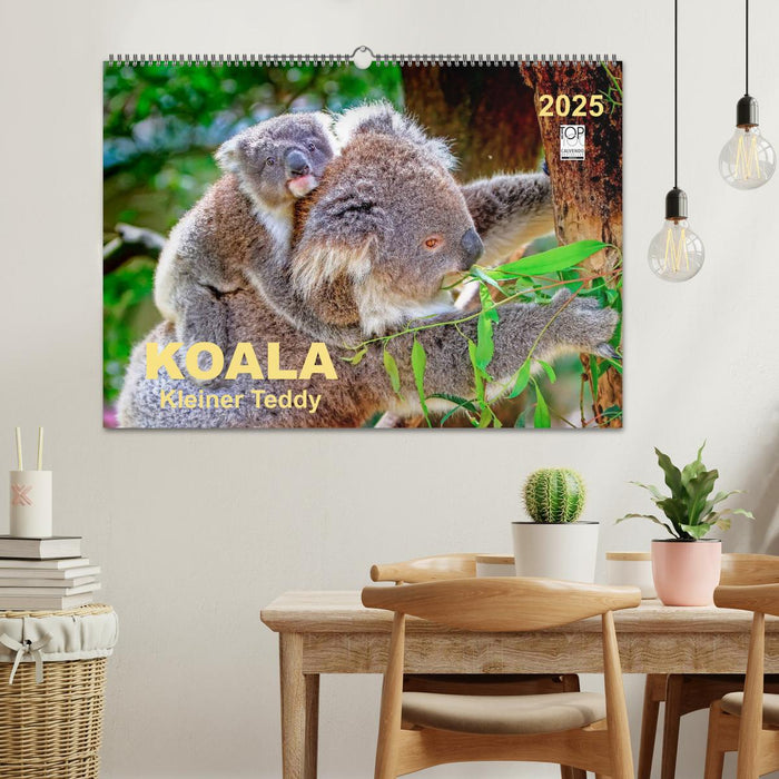 Koala - kleiner Teddy (CALVENDO Wandkalender 2025)