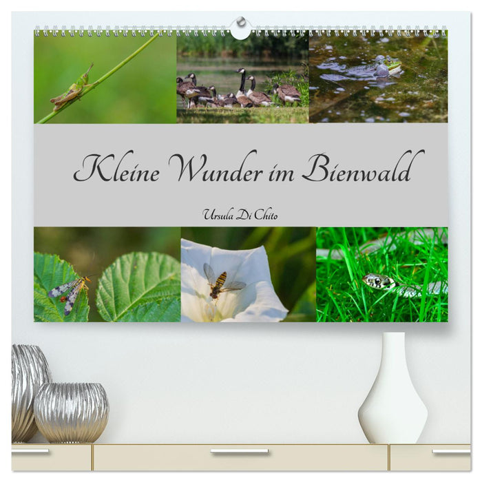 Kleine Wunder im Bienwald (CALVENDO Premium Wandkalender 2025)