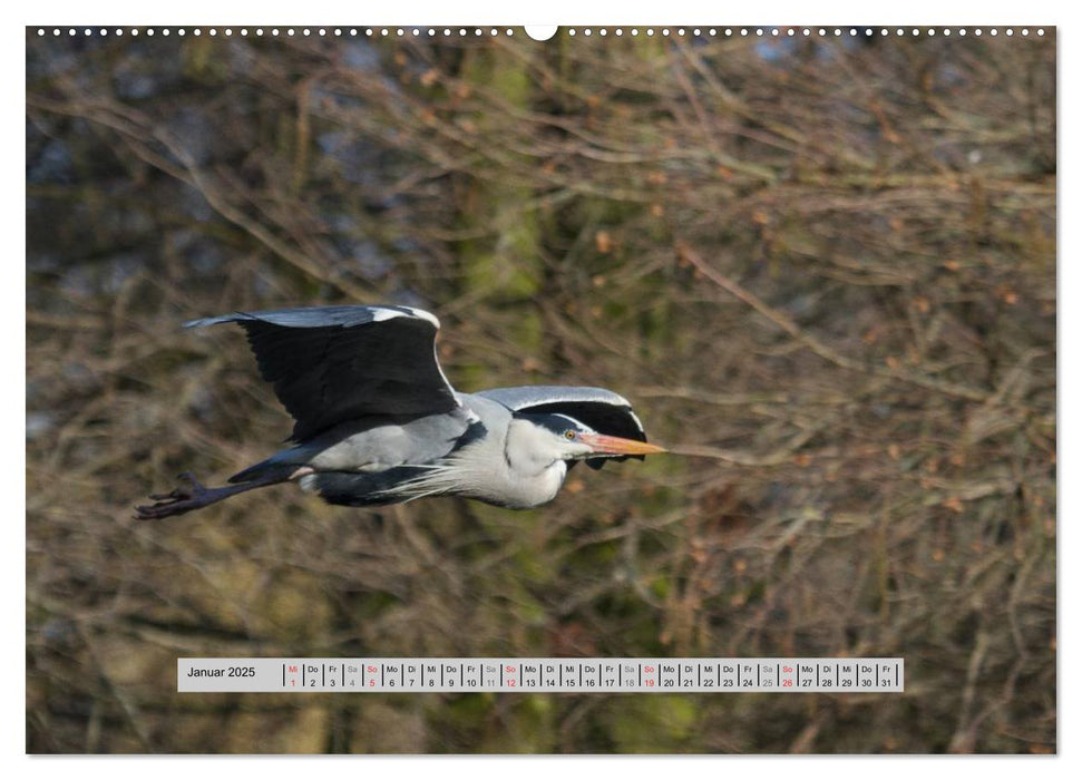 Kleine Wunder im Bienwald (CALVENDO Premium Wandkalender 2025)