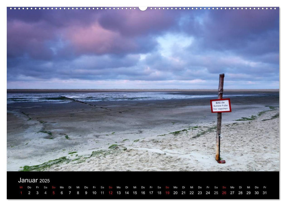 Amrum, Perle der Nordsee (CALVENDO Wandkalender 2025)