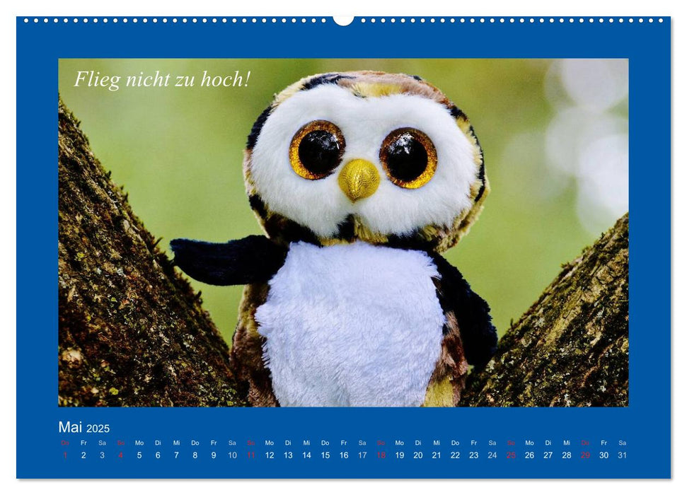 Sommer im Teddy-Land. Bär und Freunde (CALVENDO Premium Wandkalender 2025)