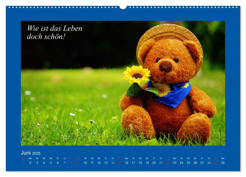 Sommer im Teddy-Land. Bär und Freunde (CALVENDO Premium Wandkalender 2025)