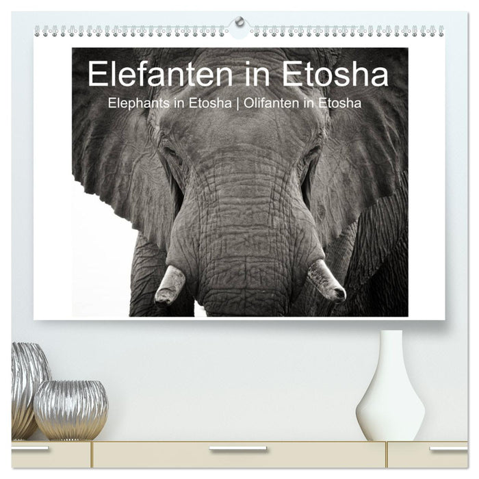 Elefanten in Etosha (CALVENDO Premium Wandkalender 2025)