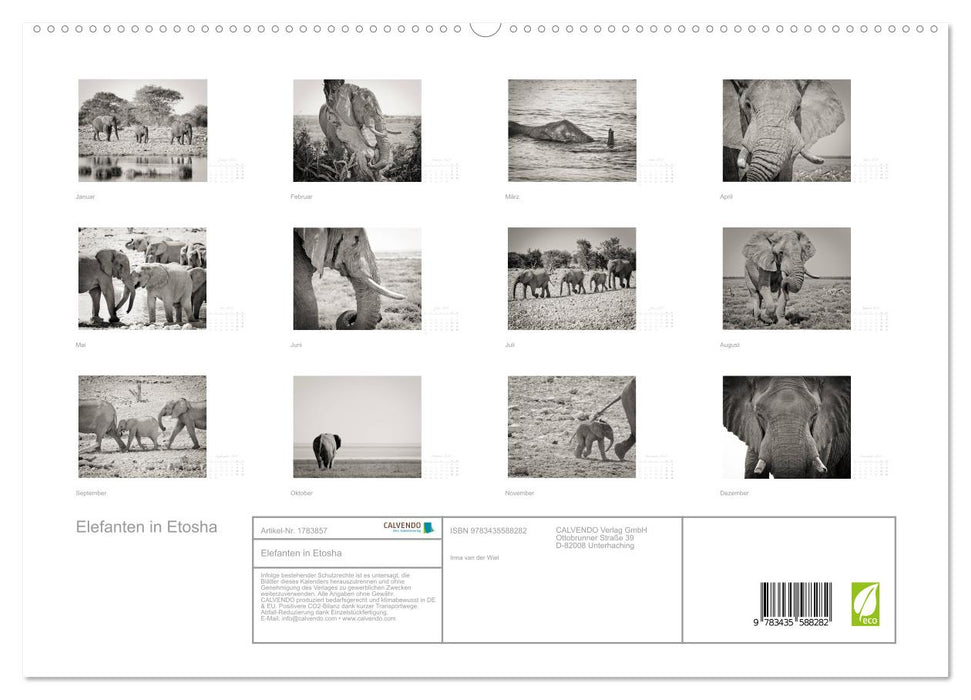 Elefanten in Etosha (CALVENDO Premium Wandkalender 2025)