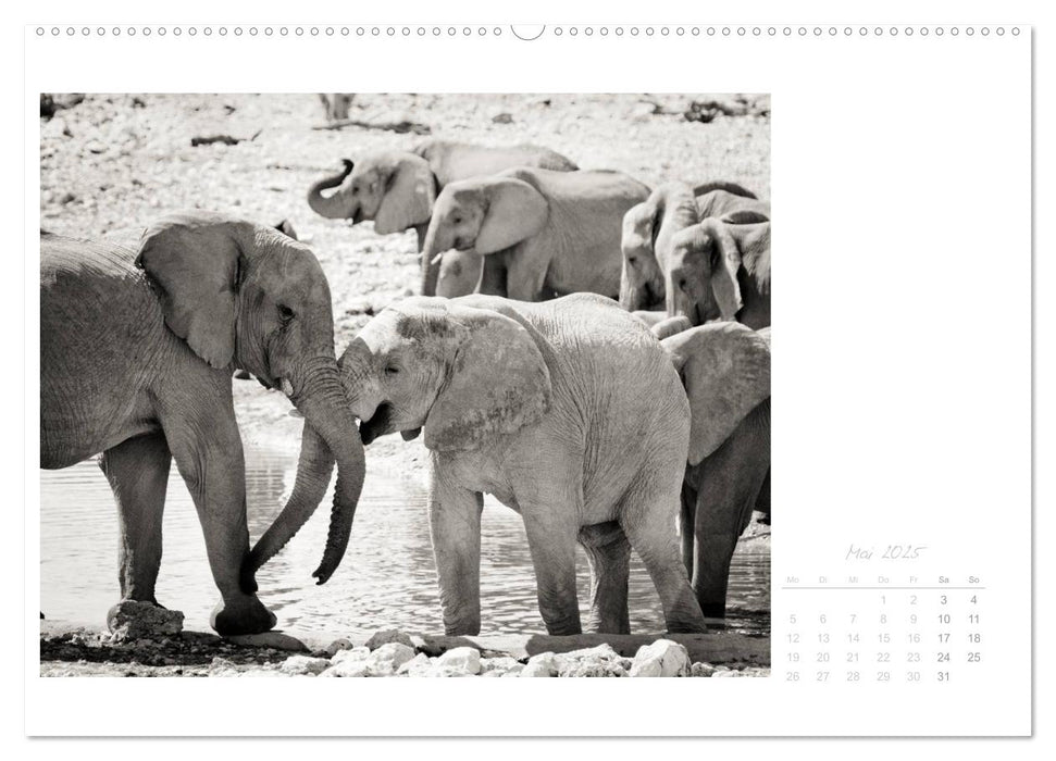 Elefanten in Etosha (CALVENDO Premium Wandkalender 2025)