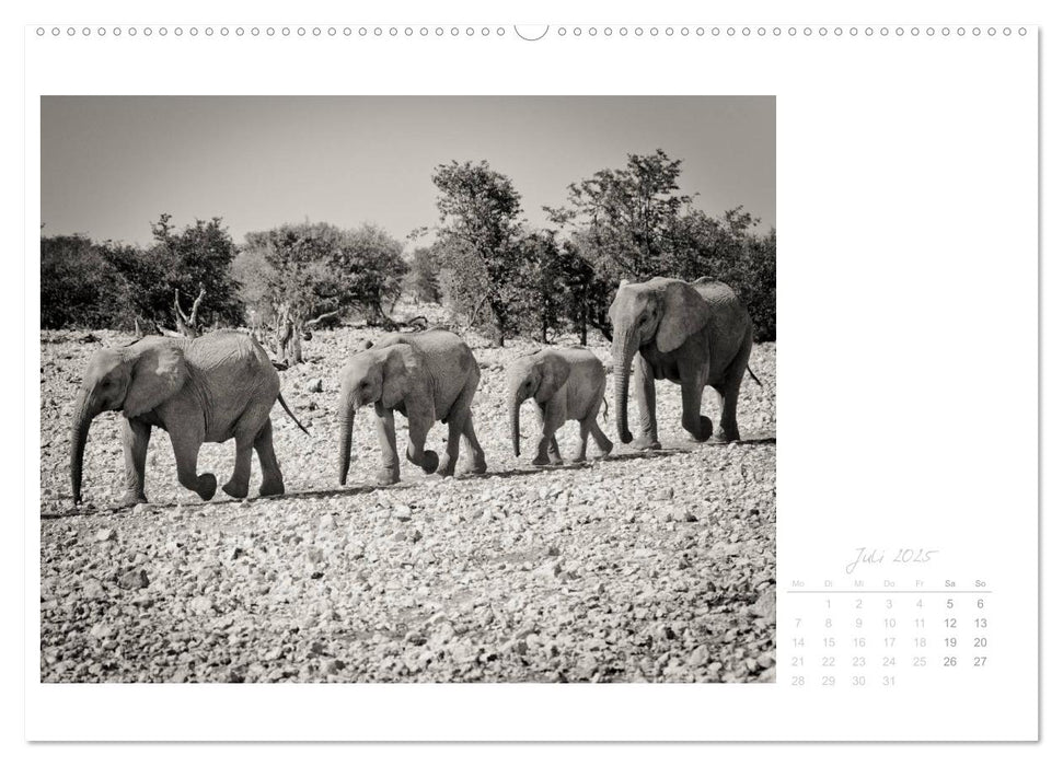 Elefanten in Etosha (CALVENDO Premium Wandkalender 2025)