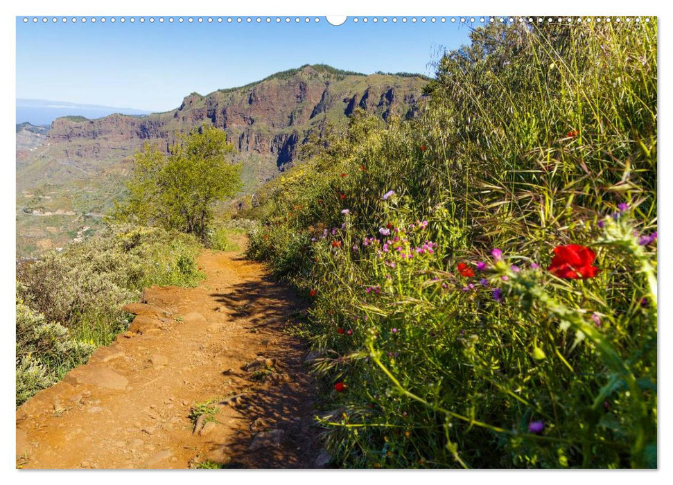 Auf Schusters Rappen... Gran Canaria (CALVENDO Wandkalender 2025)
