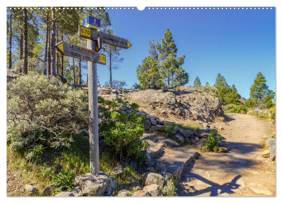 Auf Schusters Rappen... Gran Canaria (CALVENDO Wandkalender 2025)