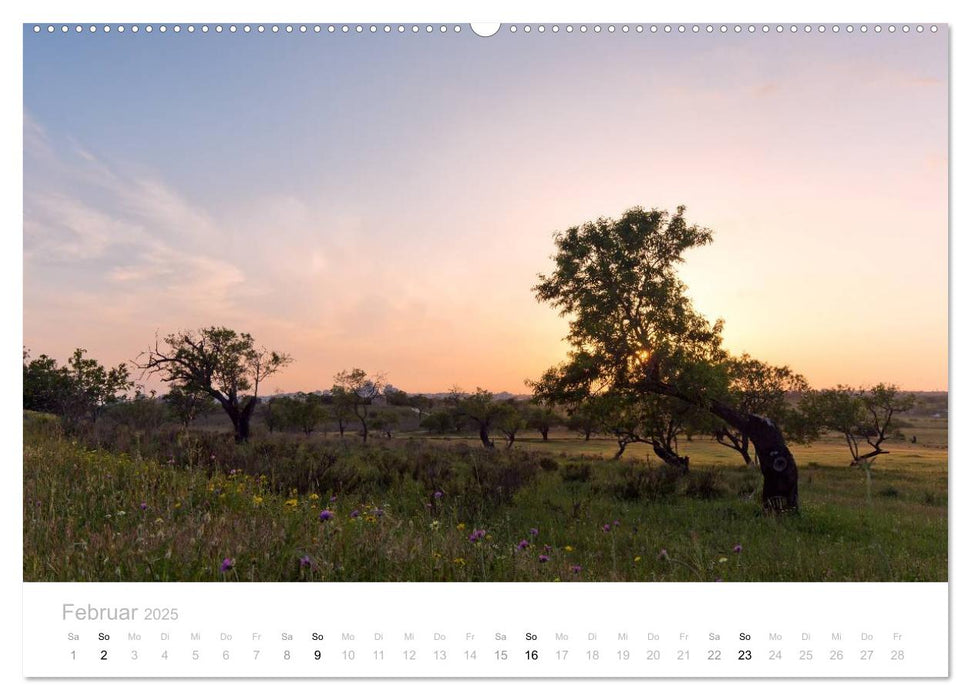 Portugal im Frühling (CALVENDO Premium Wandkalender 2025)