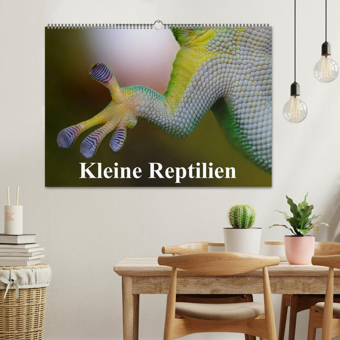 Kleine Reptilien (CALVENDO Wandkalender 2025)