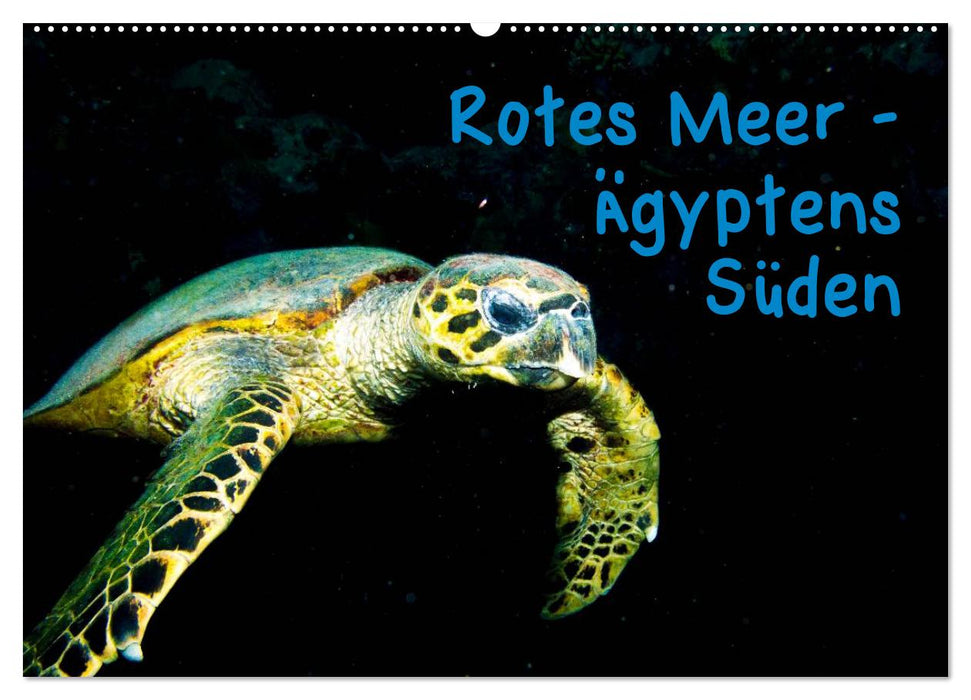 Rotes Meer - Ägyptens Süden (CALVENDO Wandkalender 2025)