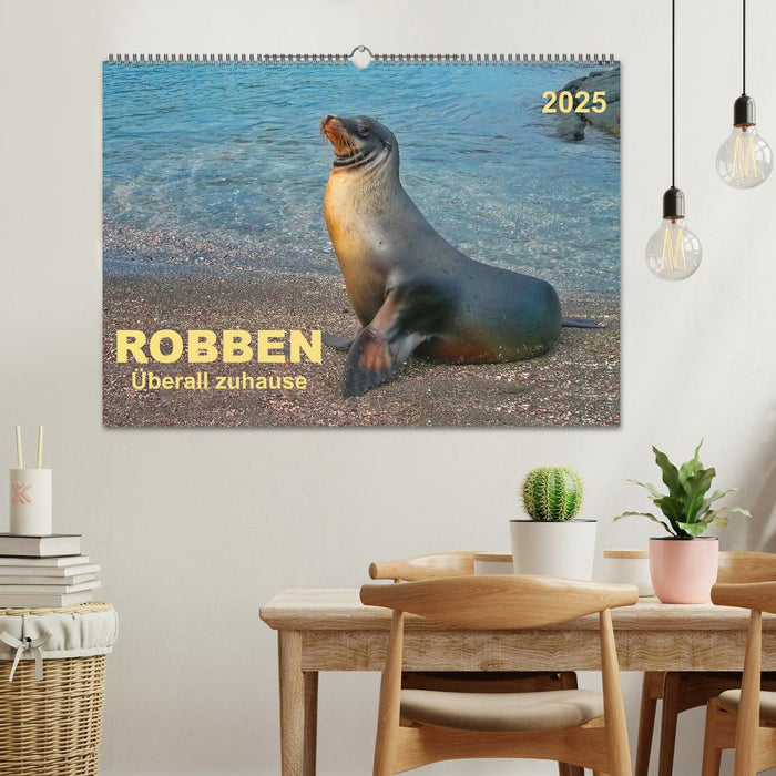 Robben - überall zuhause (CALVENDO Wandkalender 2025)