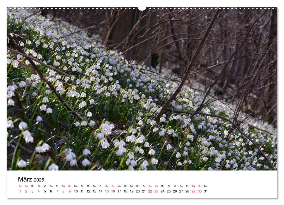 Zauberhafte Schwäbische Alb (CALVENDO Premium Wandkalender 2025)