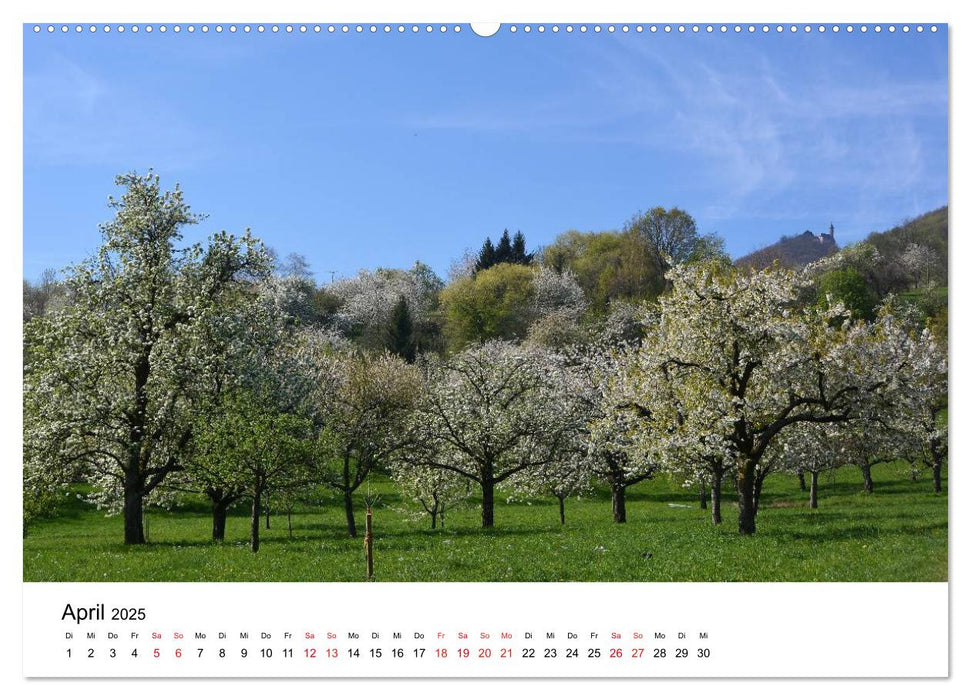 Zauberhafte Schwäbische Alb (CALVENDO Premium Wandkalender 2025)