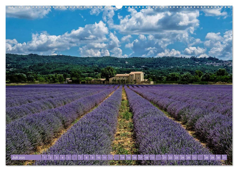 Ein Sommer in der Provence: Luberon und Vaucluse (CALVENDO Premium Wandkalender 2025)