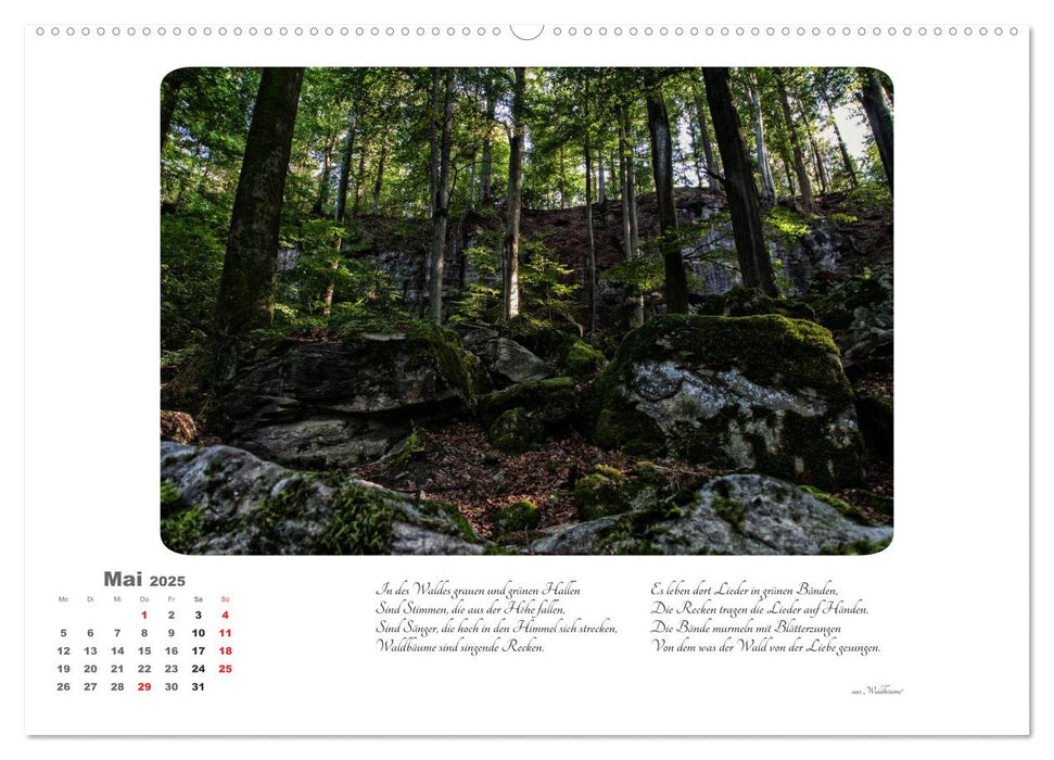 Max Dauthendey - Mit dem Wald durchs Jahr (CALVENDO Premium Wandkalender 2025)