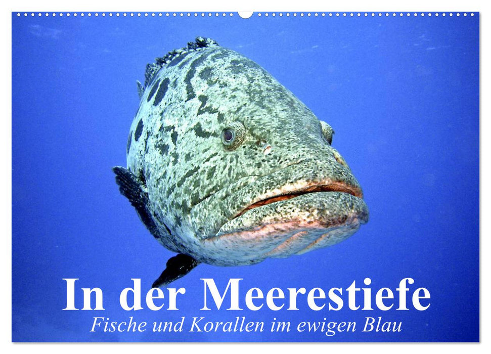 In der Meerestiefe. Fische und Korallen im ewigen Blau (CALVENDO Wandkalender 2025)