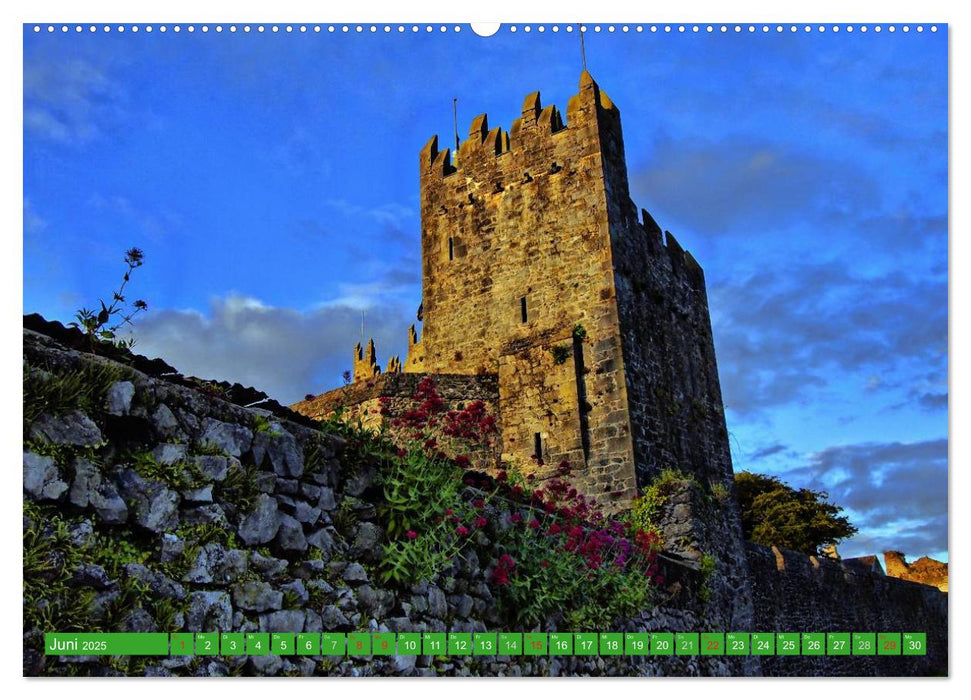 Irland - Sehnsuchtsorte 2025 (CALVENDO Premium Wandkalender 2025)