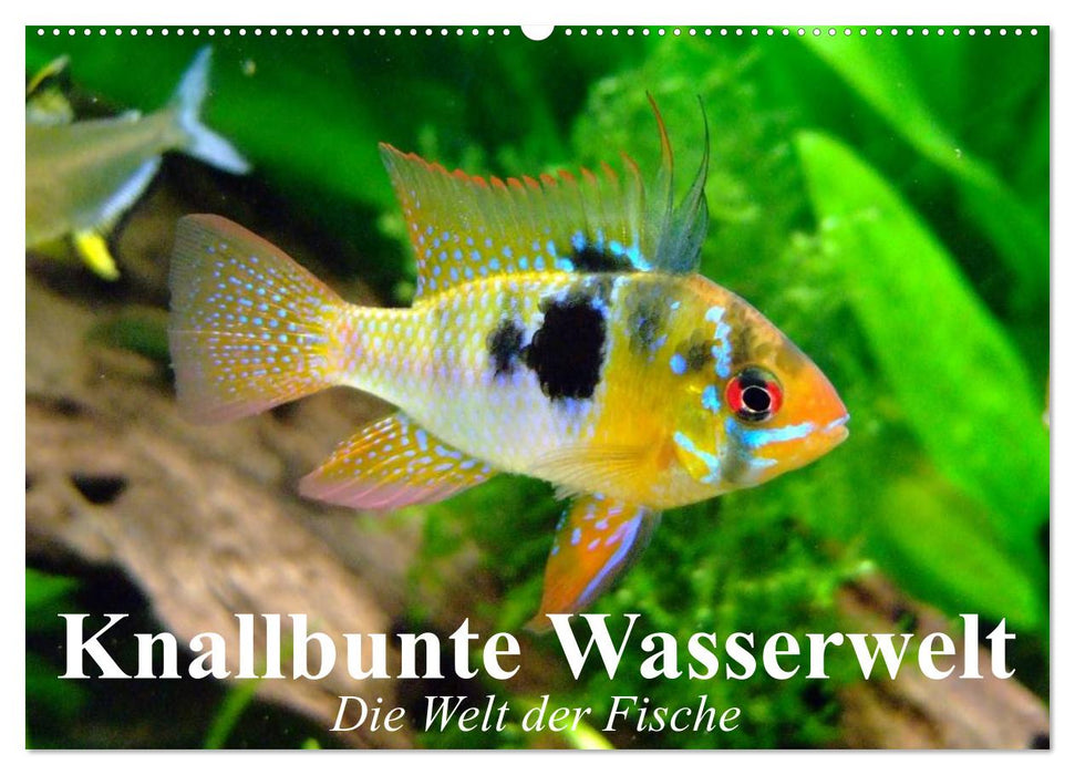 Knallbunte Wasserwelt. Die Welt der Fische (CALVENDO Wandkalender 2025)