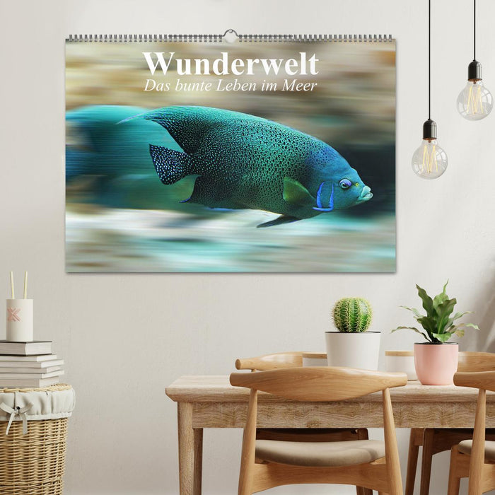 Wunderwelt. Das bunte Leben im Meer (CALVENDO Wandkalender 2025)