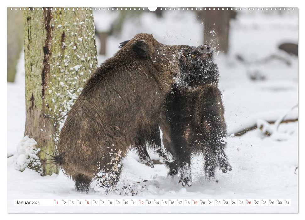 Emotionale Momente: Wild und Jagd. (CALVENDO Premium Wandkalender 2025)
