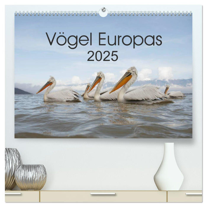 Vögel Europas 2025 (CALVENDO Premium Wandkalender 2025)