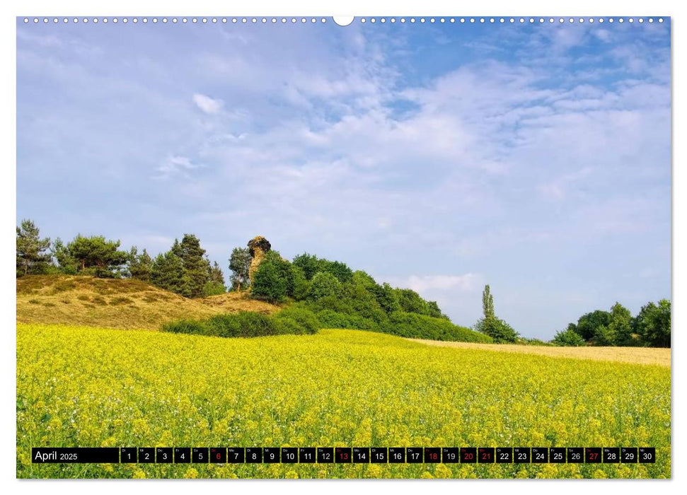 Die Teufelsmauer - Bizarre Felsformationen im Harz (CALVENDO Premium Wandkalender 2025)