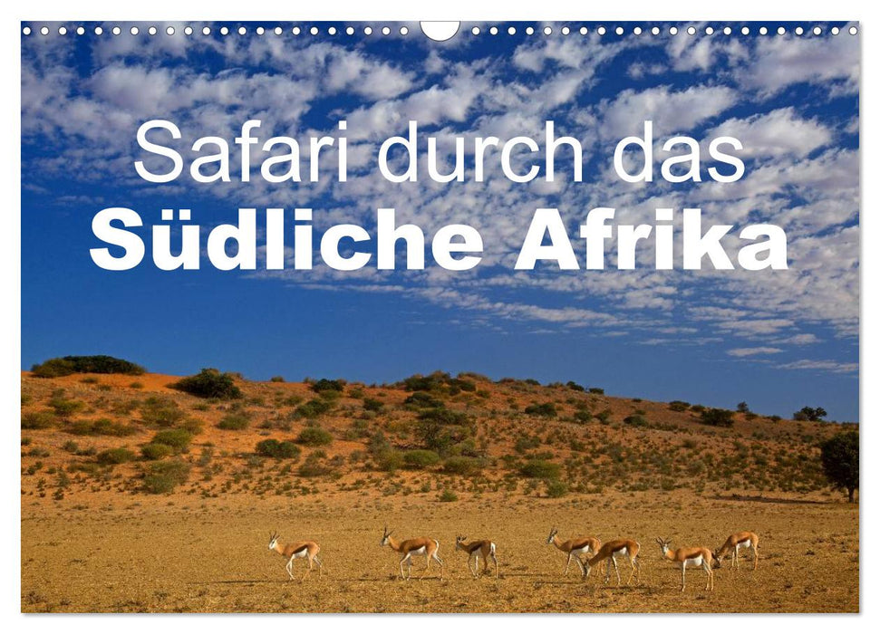 Safari durch das Südliche Afrika (CALVENDO Wandkalender 2025)