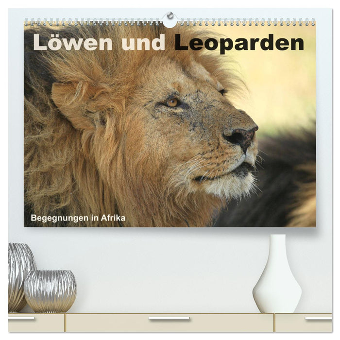 Löwen und Leoparden - Begegnungen in Afrika (CALVENDO Premium Wandkalender 2025)