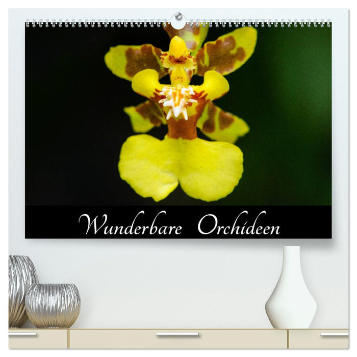 Wunderbare Orchideen (CALVENDO Premium Wandkalender 2025)