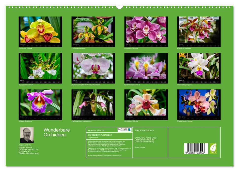 Wunderbare Orchideen (CALVENDO Premium Wandkalender 2025)