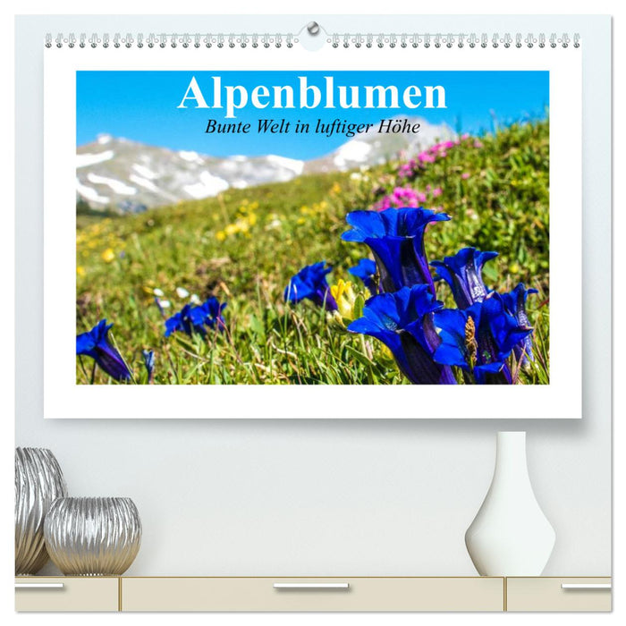 Alpenblumen. Bunte Welt in luftiger Höhe (CALVENDO Premium Wandkalender 2025)