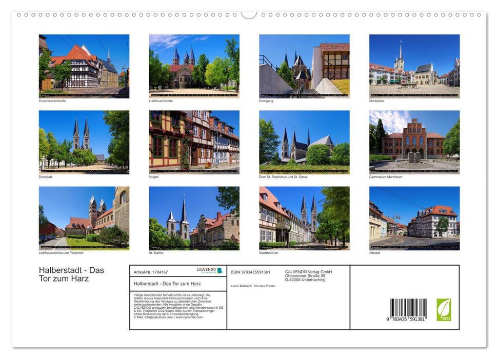 Halberstadt - Das Tor zum Harz (CALVENDO Premium Wandkalender 2025)