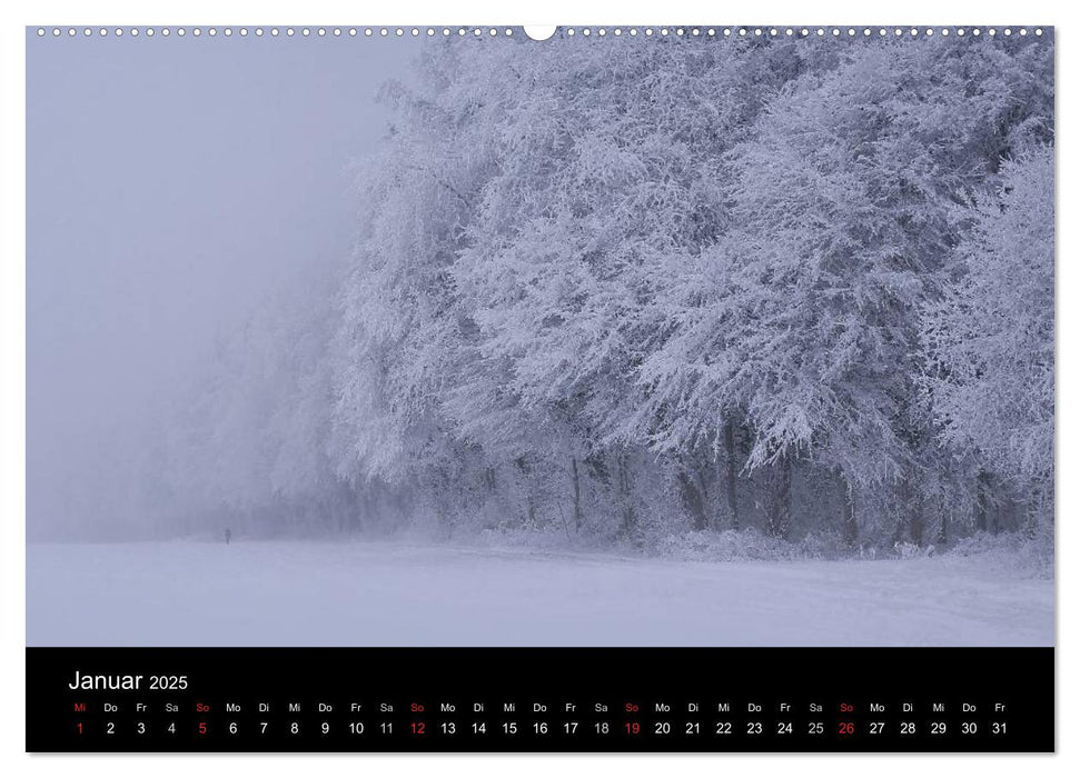 Mysterium Wald (CALVENDO Premium Wandkalender 2025)