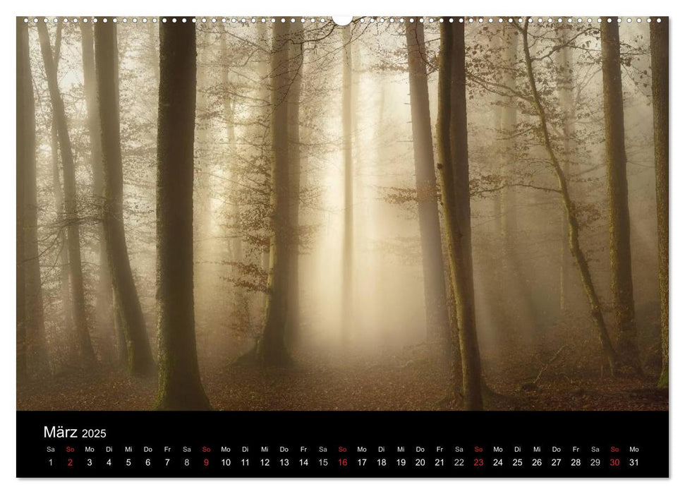 Mysterium Wald (CALVENDO Premium Wandkalender 2025)