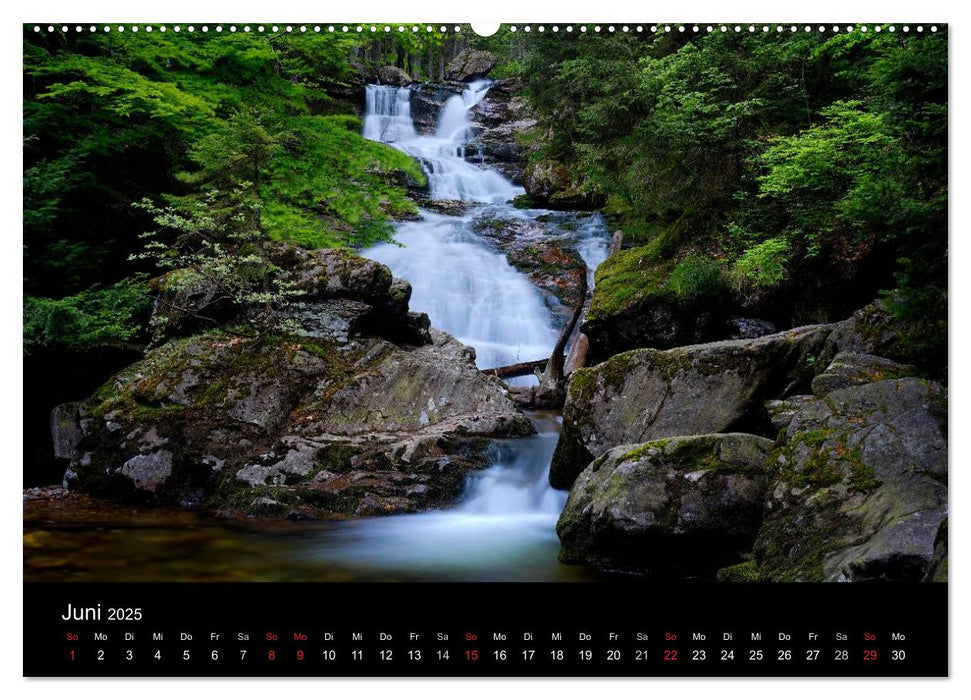 Mysterium Wald (CALVENDO Premium Wandkalender 2025)