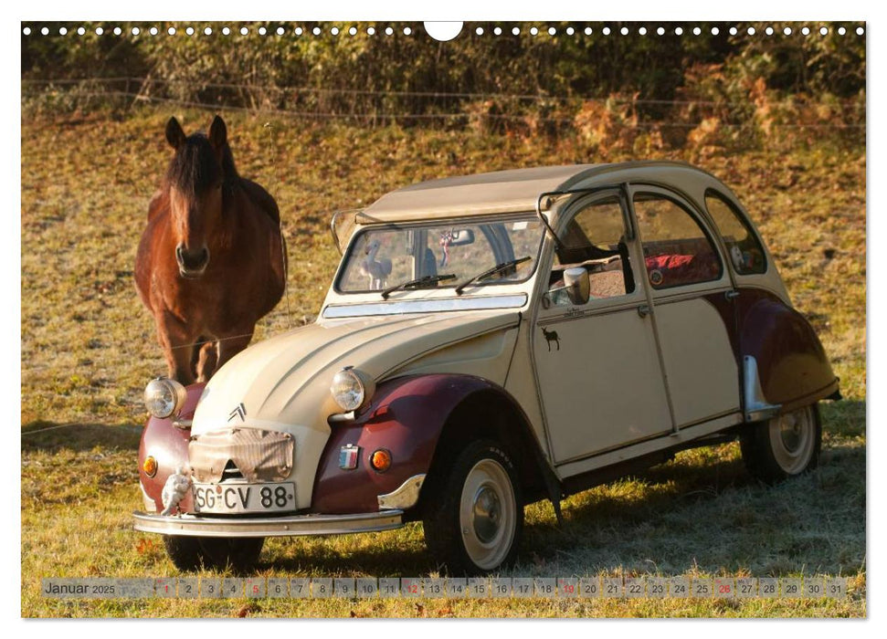 Kultauto Ente Citroën 2CV (CALVENDO Wandkalender 2025)