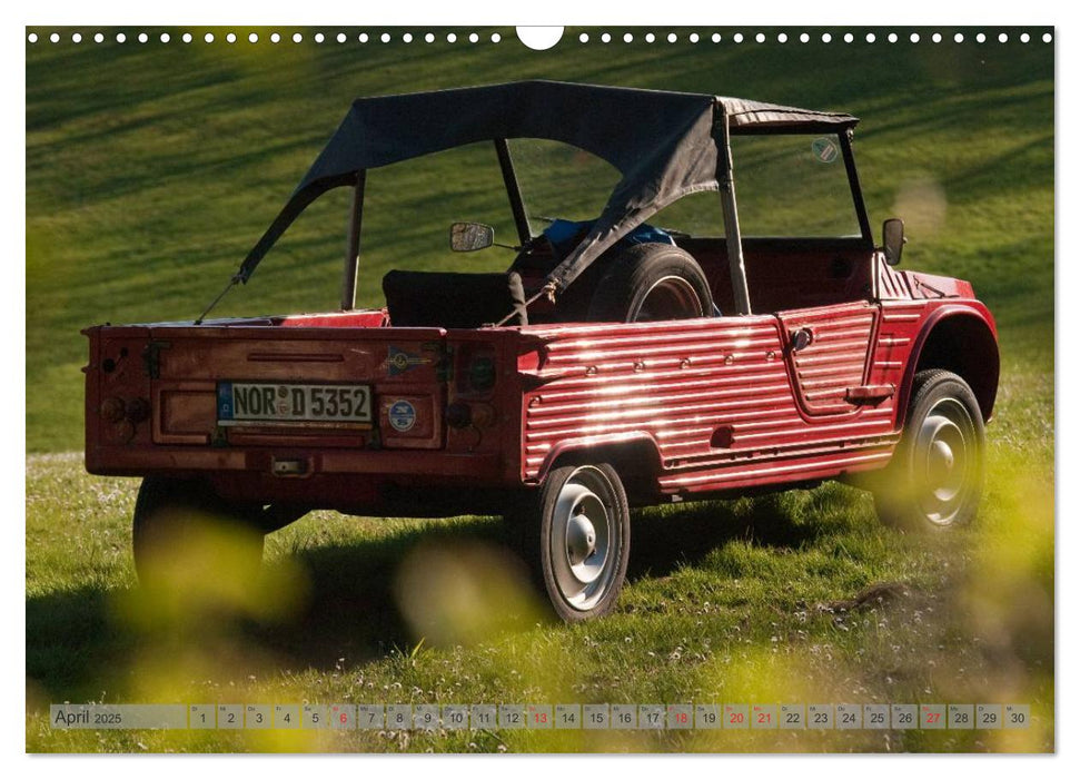 Kultauto Ente Citroën 2CV (CALVENDO Wandkalender 2025)