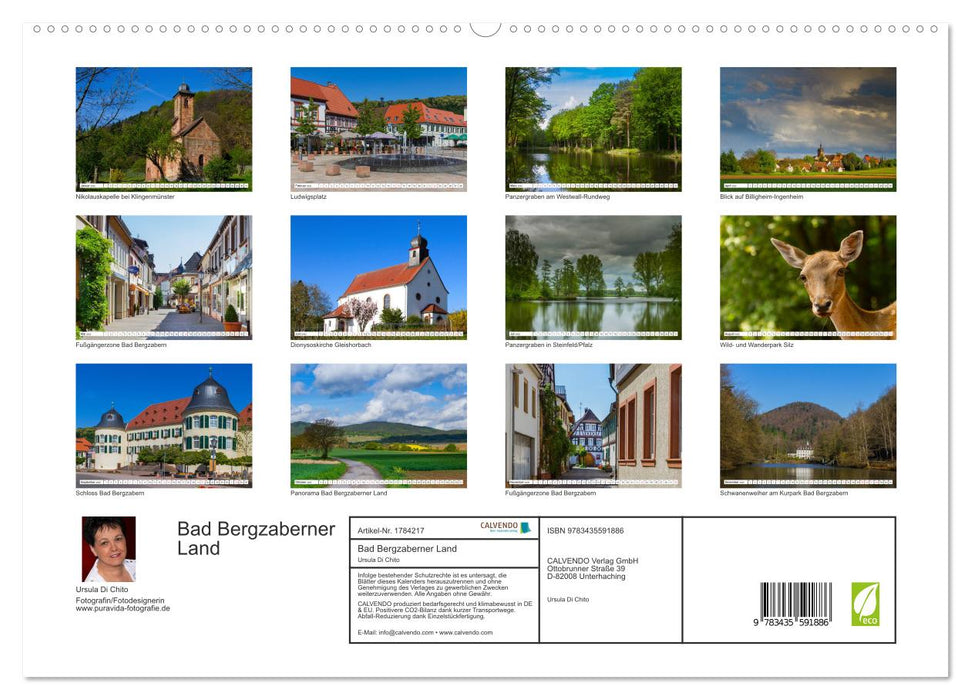 Bad Bergzaberner Land (CALVENDO Premium Wandkalender 2025)