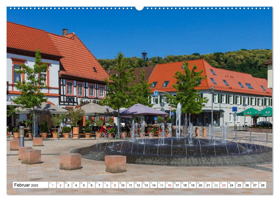 Bad Bergzaberner Land (CALVENDO Premium Wandkalender 2025)