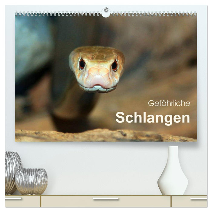 Gefährliche Schlangen (CALVENDO Premium Wandkalender 2025)