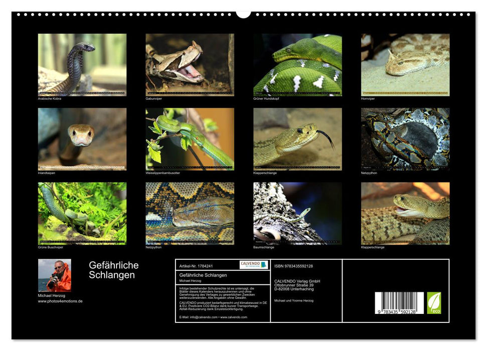 Gefährliche Schlangen (CALVENDO Premium Wandkalender 2025)