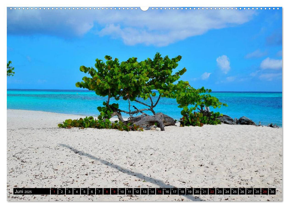 Cuba Meer Sonne und Strand (CALVENDO Premium Wandkalender 2025)