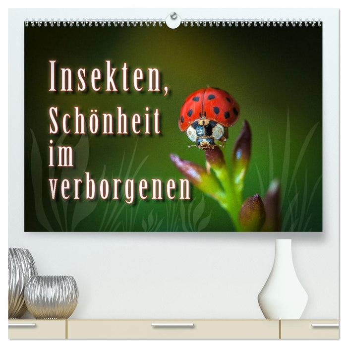 Insekten, Schönheit im verborgenen (CALVENDO Premium Wandkalender 2025)