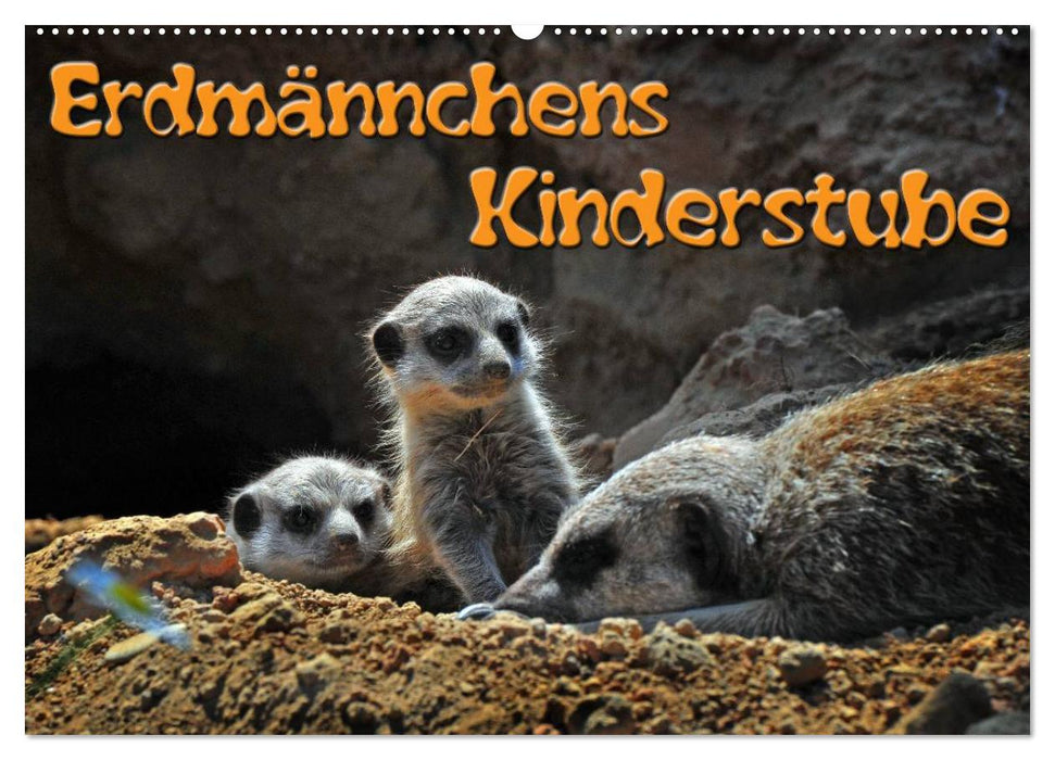 Erdmännchens Kinderstube (CALVENDO Wandkalender 2025)