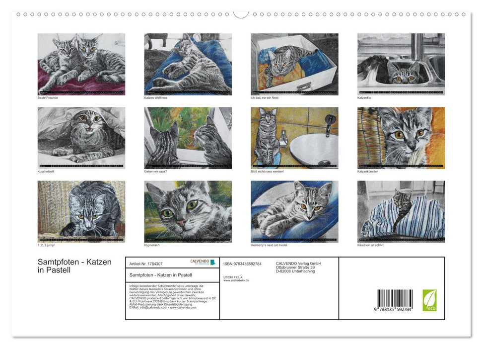 Samtpfoten - Katzen in Pastell (CALVENDO Premium Wandkalender 2025)