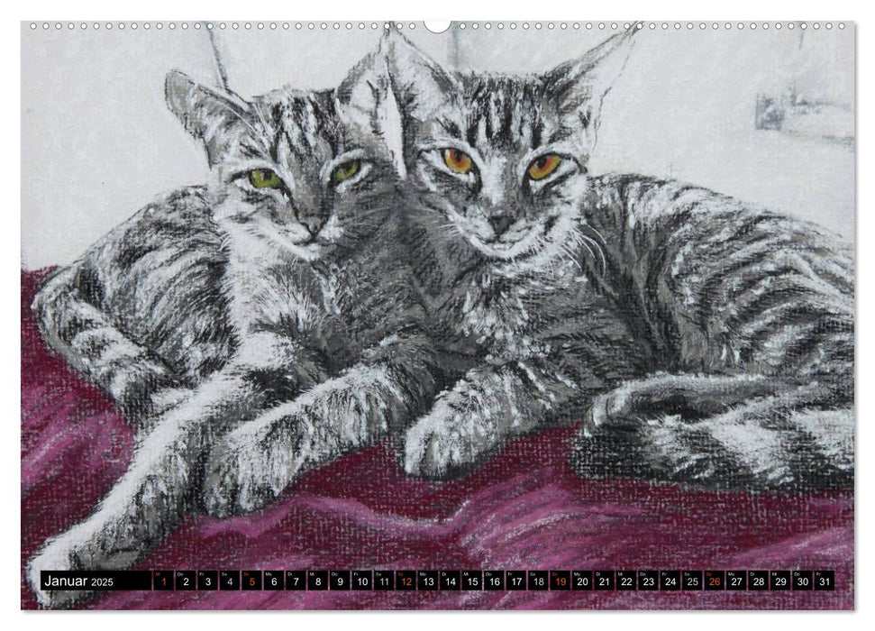 Samtpfoten - Katzen in Pastell (CALVENDO Premium Wandkalender 2025)