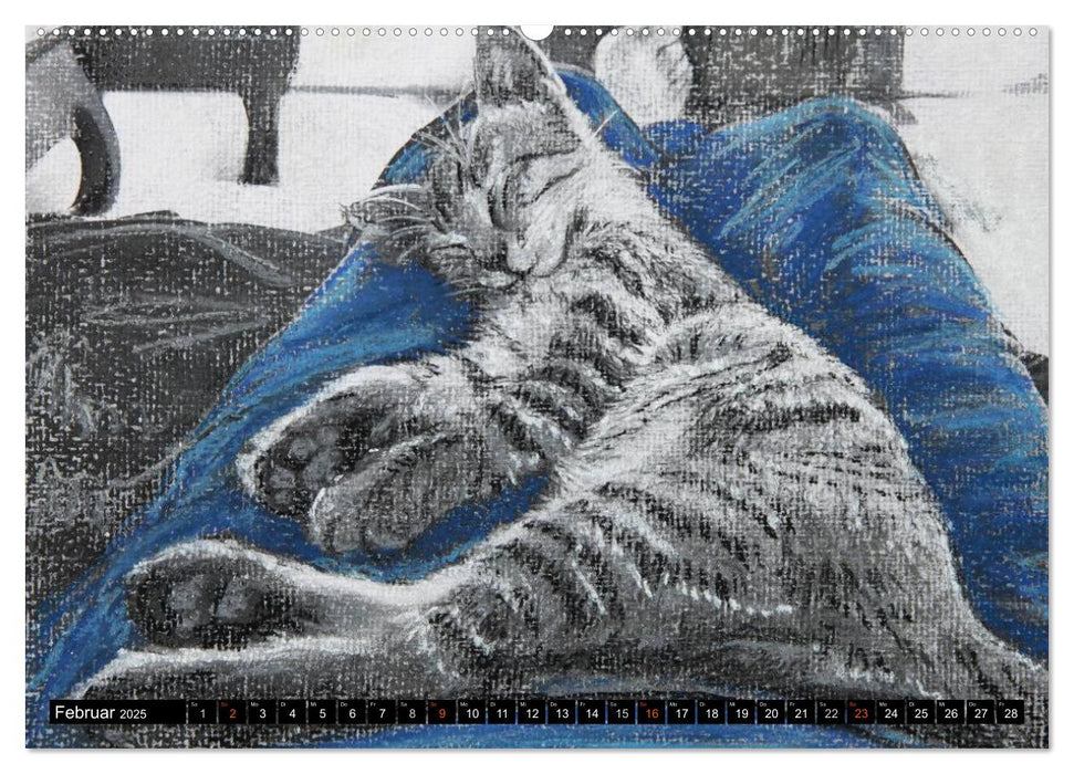 Samtpfoten - Katzen in Pastell (CALVENDO Premium Wandkalender 2025)