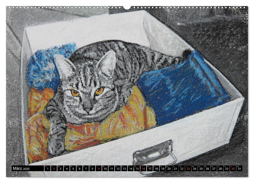 Samtpfoten - Katzen in Pastell (CALVENDO Premium Wandkalender 2025)