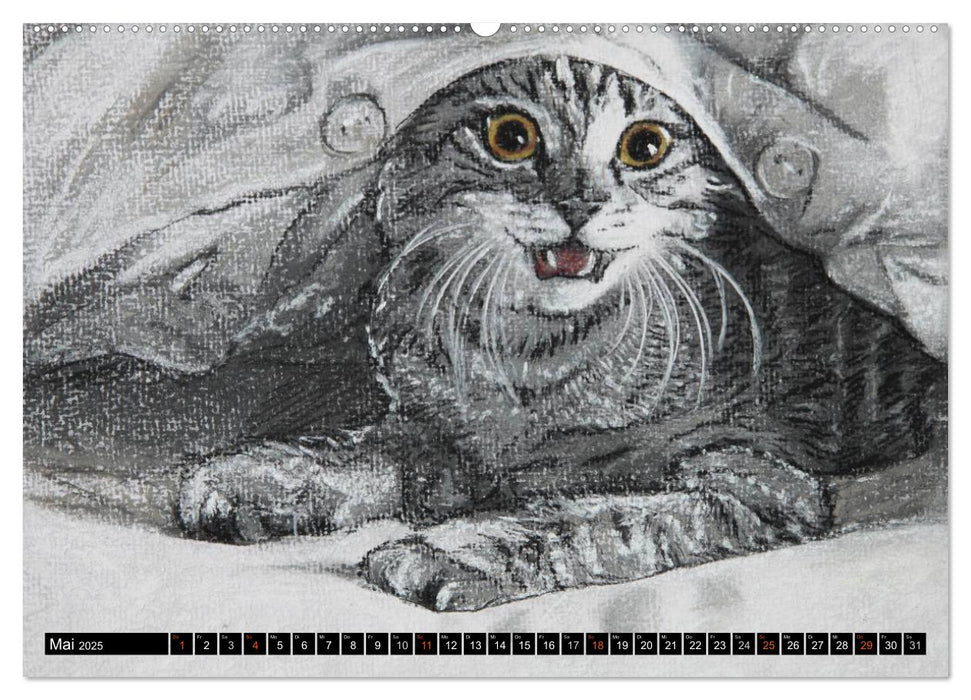 Samtpfoten - Katzen in Pastell (CALVENDO Premium Wandkalender 2025)